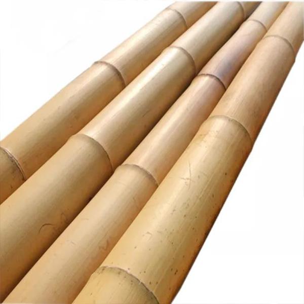 Buy cheap Wholesale Price Natural Moss Plant Pole Moss Stick For Climbing Plants Moss Poles Support from wholesalers