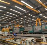 Luffing Tower Crane 10 Ton Construction Crane