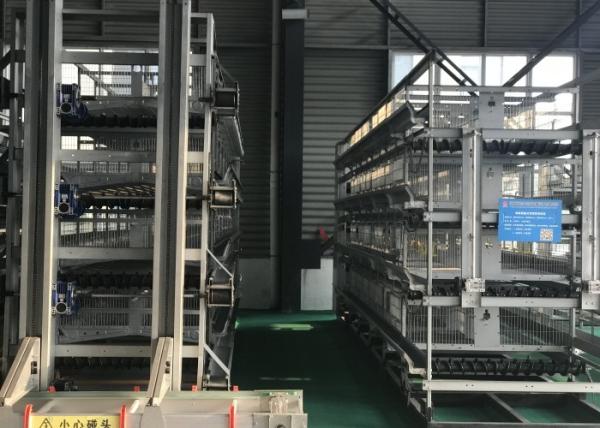 Quality Poultry House Automatic Poultry Feeder System for chicken house for sale