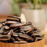 Buy cheap Wholesale Nutrition Food High Quality XL Five Spice Flavor Roasted Sunflower Seeds Best Price ODM OEM from wholesalers