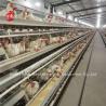 Buy cheap Automatic Electric Control Poultry Layer Cage System 4 Tier Farm Design Ada from wholesalers