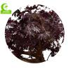 Buy cheap 350cm Artificial Landscape Trees , Fake Maple Tree All Season from wholesalers