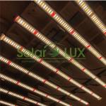 Led Plant Light Cover 2000w Full Spectrum LED Grow Light