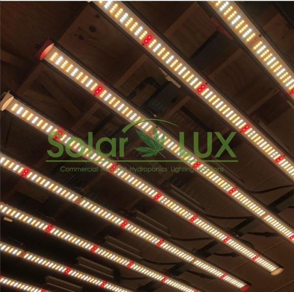 Buy cheap Led Plant Light Cover 2000w Full Spectrum LED Grow Light from wholesalers