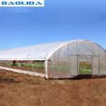 Modern Tunnel Plastic Greenhouse For Tropical Climate Plastic Covering