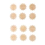 Baby 13 Pcs Wooden Milestone Discs First Year Monthly Milestone Cards