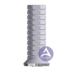 ITI Straumann Tissue Level Synocta® Titanium Temporary Abutment Compatible RN 4