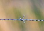 Buy cheap Farm Protection Single Strand Hot Dipped Galvanized Barbed Wire Price Per Roll from wholesalers