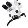Buy cheap Endodontic 1.5A Dental Surgical Microscope Multipurpose Professional from wholesalers