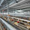 Buy cheap Hot Dip Galvanized Poultry Cages For Chicken Farms Baby Chickens from wholesalers