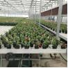 Buy cheap Plant Growing Greenhouse Accessories 4'×8' 4'×10' Ebb And Flow Rolling Bench from wholesalers