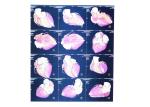 Environmental Friendly Thin Medical Paper Xray Film For Laser Printer KND DRYTEC