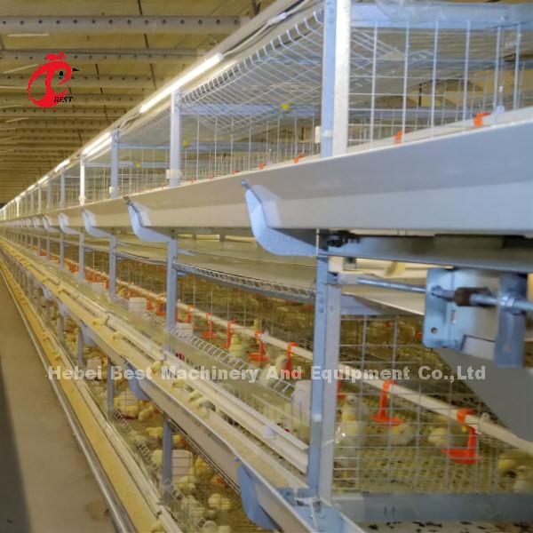 Buy cheap Poultry Farm Automatic Baby Broiler Battery Cage System Rose from wholesalers