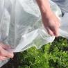 Buy cheap Nontoxic Crop Protection Cover Durable , Biodegradable Garden Fleece For Plants from wholesalers