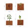 Buy cheap 4 PCS Farm Plant Life Cycle Model Figure Cake Toppers Learning Development Toys For Boys Girls Kids from wholesalers