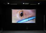 Buy cheap SMD2121 Indoor Fixed LED Screen Brightness ≥1000cd/㎡ , P5 Indoor Led Display from wholesalers