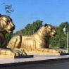 Buy cheap Bronze Lying Tiger Statues Metal Crafts Life Size Animal Sculpture Art Work Plaza Outdoor Decoration from wholesalers