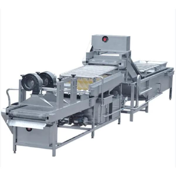 Buy cheap TUV 300kg/h 380v 10.75kw Dry Dates Washing Machine from wholesalers