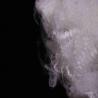 Buy cheap Environment Friendly Polyester Staple Fiber 51mm Recycled PET Polyester Fiber Fill from wholesalers