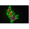 Buy cheap RGB Color Fortune Cat Neon Bar Signs Lighting Board Business Gift from wholesalers