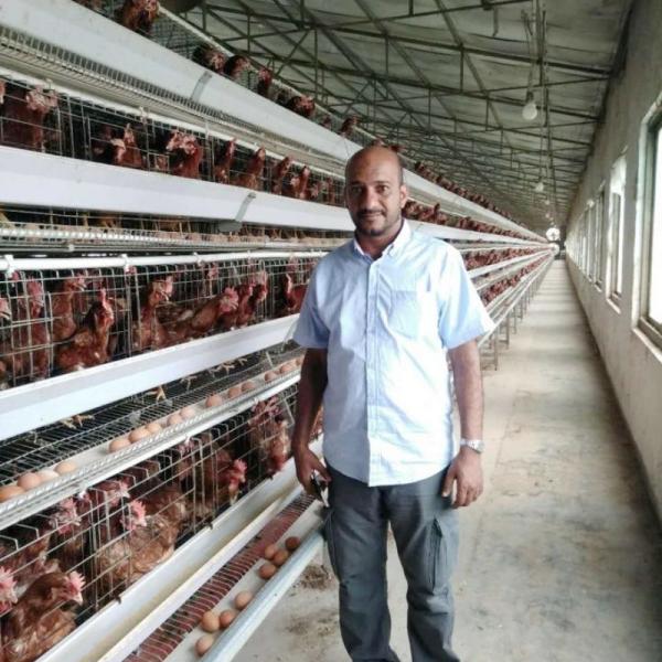 Hot Galvanized A Type 3 / 4 tier Chicken Cage Layer Poultry For Farming