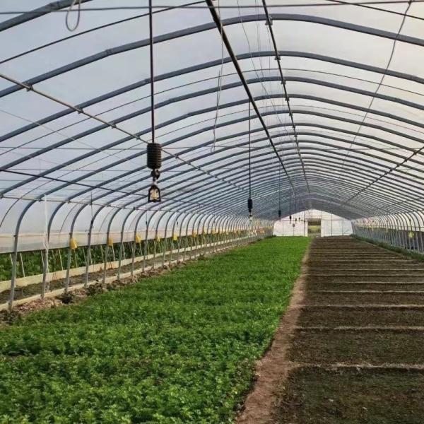JX-A0078 Large Film Solar Greenhouses Steel Structure Single Span Tunnel