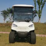 6+2 Seats Electric Golf Cart 60V 100AH ​​Lead Acid Battery Modern Leisure Golf