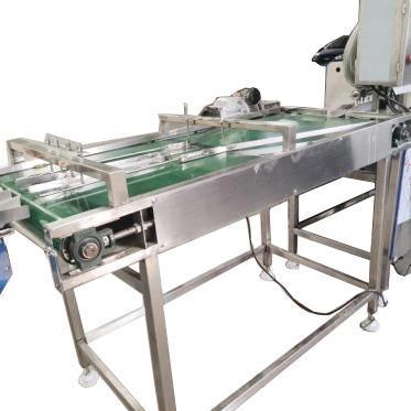 Egg Liquid Production Line/Egg Washing/Breaking/Shelling/Liquid Pasteurizer