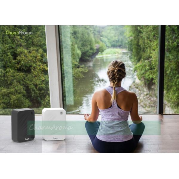 Auto Locking Aromatherapy Essential Oil Diffuser 3 Pieces D Size Batteries Powered