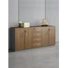 Buy cheap Private Partition Storage Cabinet for Modern Office Efficiency and Organization from wholesalers