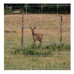 Hot Dipped Galvanized Fixed Knot Woven Game Wire Farm Fencing for Pasture Goat