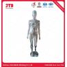 Buy cheap Male And Female Whole Body Mannequins Chrome Plated from wholesalers
