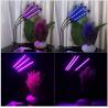 Buy cheap LED Three - Tube Grow Lights For Indoor Plants , Cycle Timing Full Spectrum Grow Lights from wholesalers