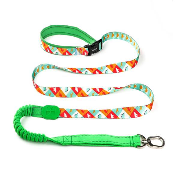 Buy cheap 50 Ft 10 Foot Sublimation Dog Lead Pet Leash Harness Leash Combo from wholesalers