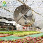 Agricultural Commercial Industrial Plastic Film Greenhouse With Complete Systems