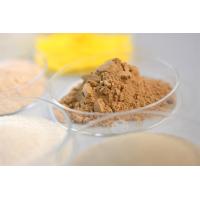 Buy cheap Neutral Protease Bakery Enzyme Used In Food Processing Industries product