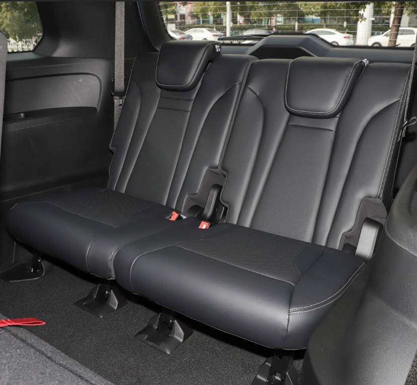 Hybrid Trumpchi GS8 2022 Dual Engine 2.0TM Four-wheel Drive 7 Seats SUV