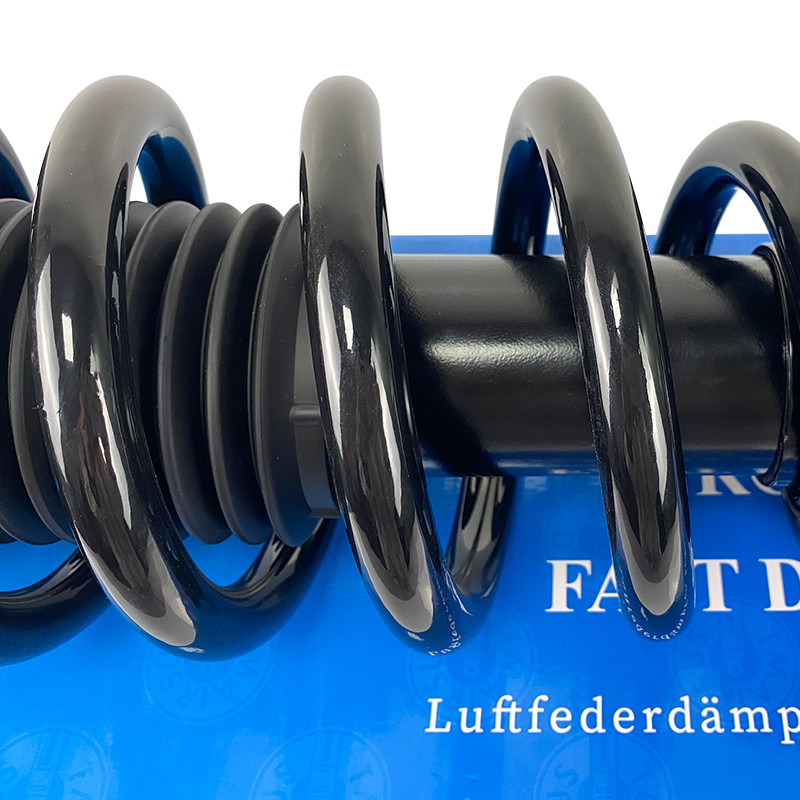 Tesla Model S Durable Design Rear Coil Spring Shock Absorber 1015620-00-C