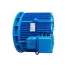 Buy cheap Industrial Air Cooling Alternating Current Brushless Motor with Cast Iron Casing from wholesalers