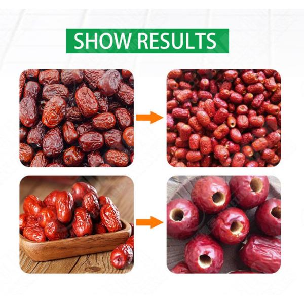 Seed Removing 84000pcs/H Date Olive Pitting Machine