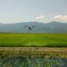 Buy cheap Foldable Waterproof Agriculture Spraying Crop Sprayer Drone with M6E G200 Technology from wholesalers