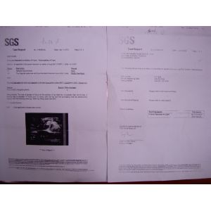 Guangzhou Asia Inflatable Firm Certifications