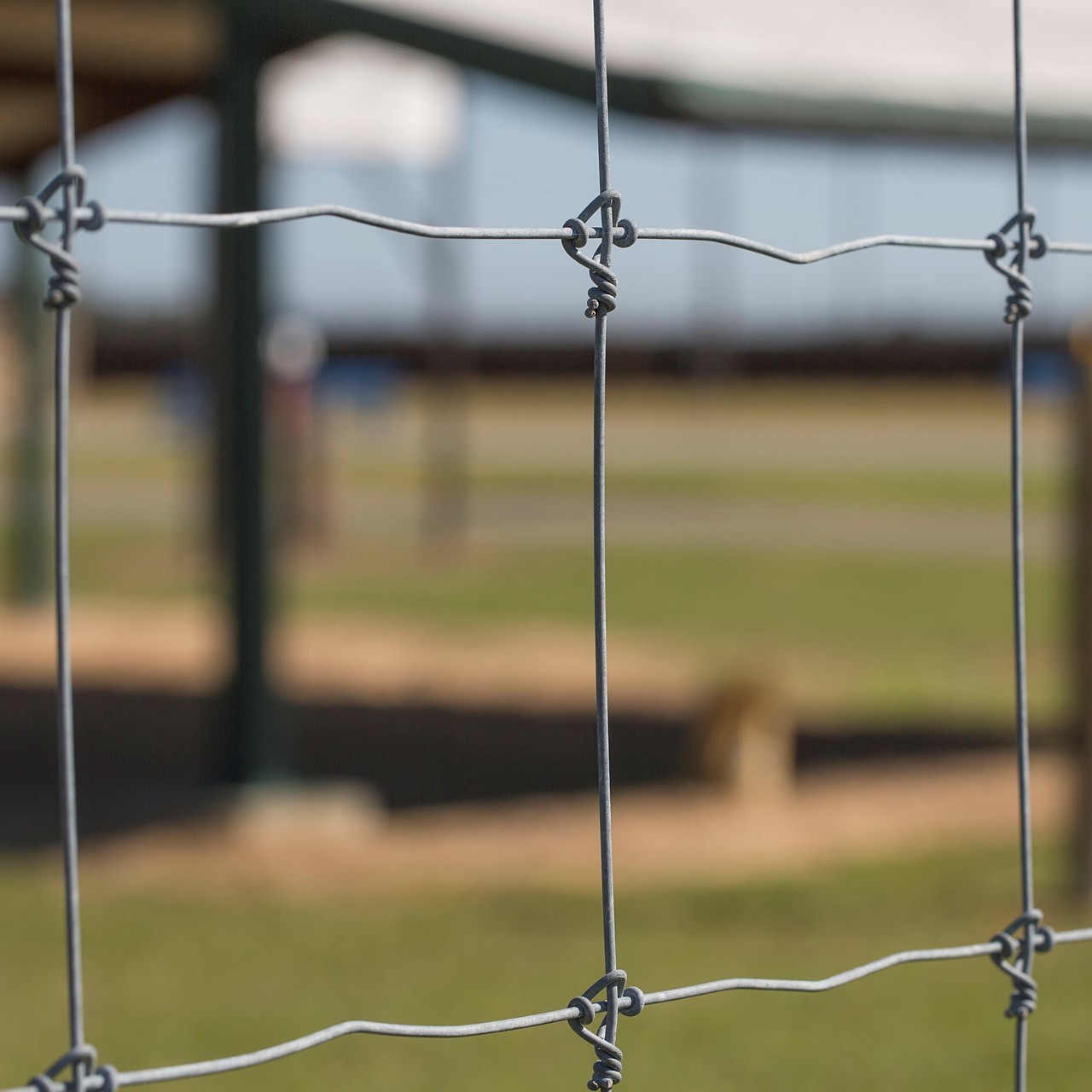Heavy Duty Field Game Fixed Knot Woven Wire Fence Galvanized Sheep Farm 2.2mm 2.5mm 2.7mm