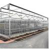 Buy cheap Agriculture Flower Greenhouse Glass Industrial Outdoor Multispan Glass Professional Dutch Greenhouse For Flower Planting from wholesalers