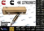 2488244 2036181 2872544 2086663 Injector 2057401 2872405 2438101 DC09 DC13 DC16
