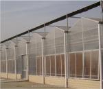 Vegetable Fruits Flowers Multi Span Agricultural Greenhouses With Hydroponic