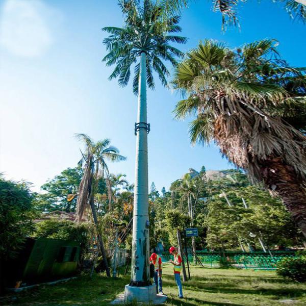 Buy cheap Galvanized Camouflage Tower Telecommunication Artificial Trees from wholesalers