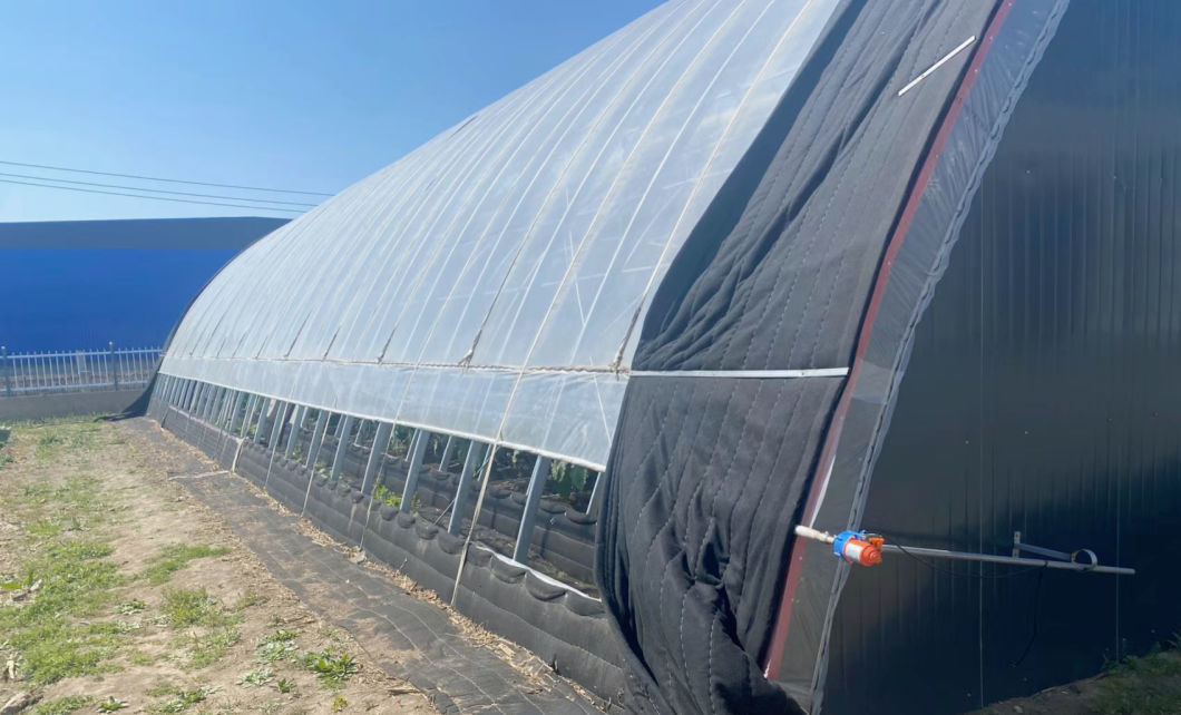Hydroponics Sunlight Greenhiuse for Vegetable Strawberry Flower