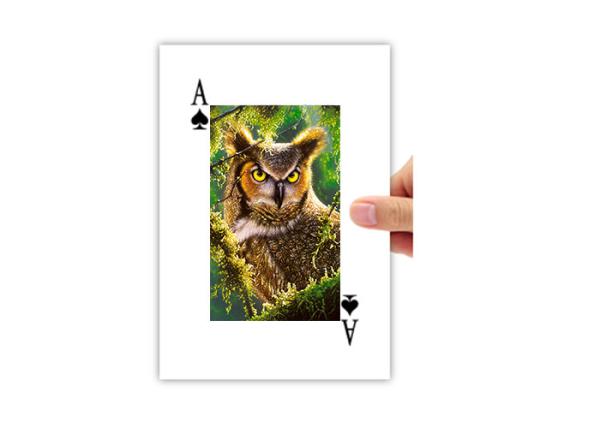 Buy cheap 5.6x8.7cm Lenticular Printing 3D Poker Card 4c On Backside Eco - Friendly from wholesalers