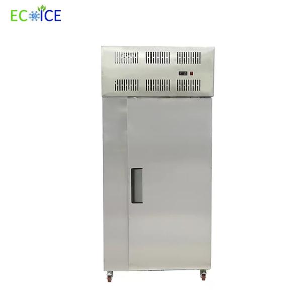 Hot Sale Commercial Fast Cooling Automatic 300 L Blast Freezer for Fish Blast